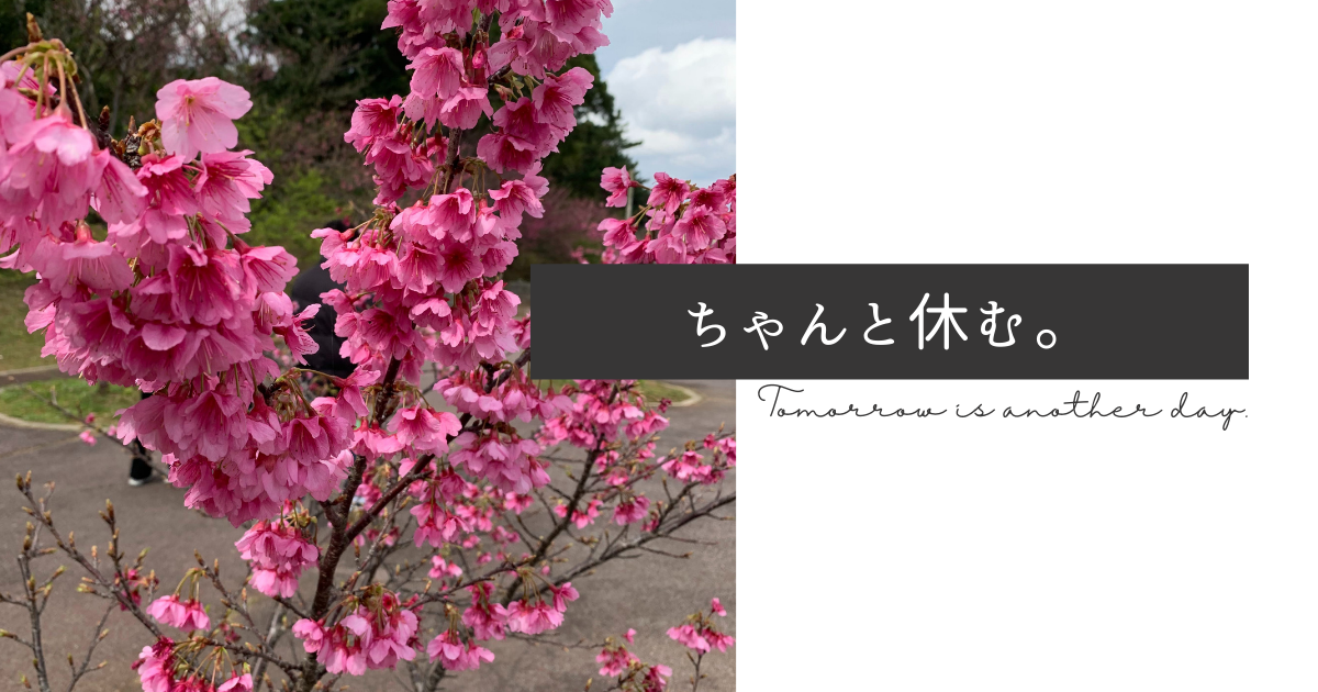 f:id:yuki_2021:20220206223756p:plain