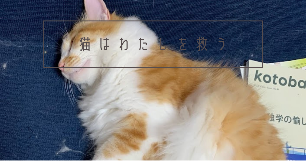 f:id:yuki_2021:20220213231312p:plain