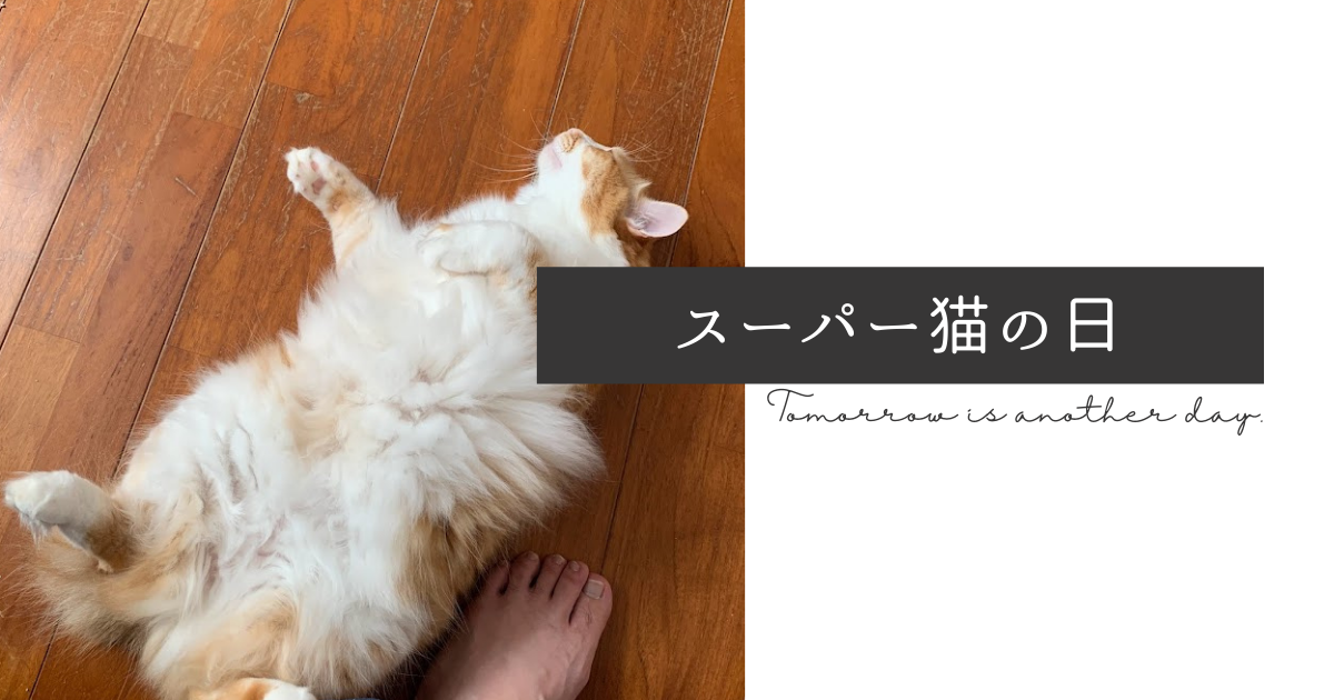 f:id:yuki_2021:20220222225406p:plain
