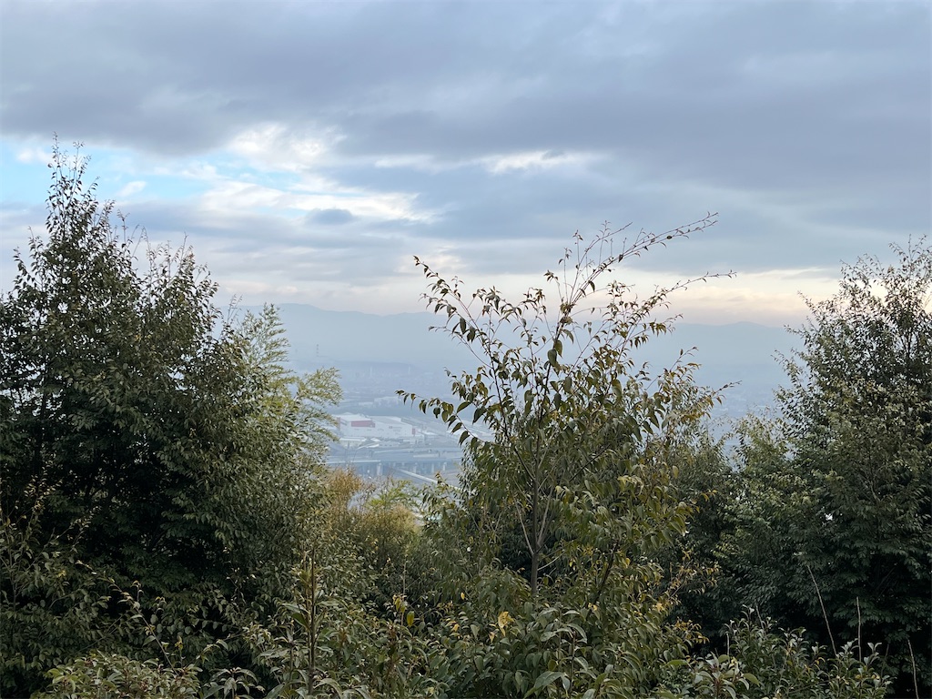 f:id:yuki_mw:20230109084401j:image