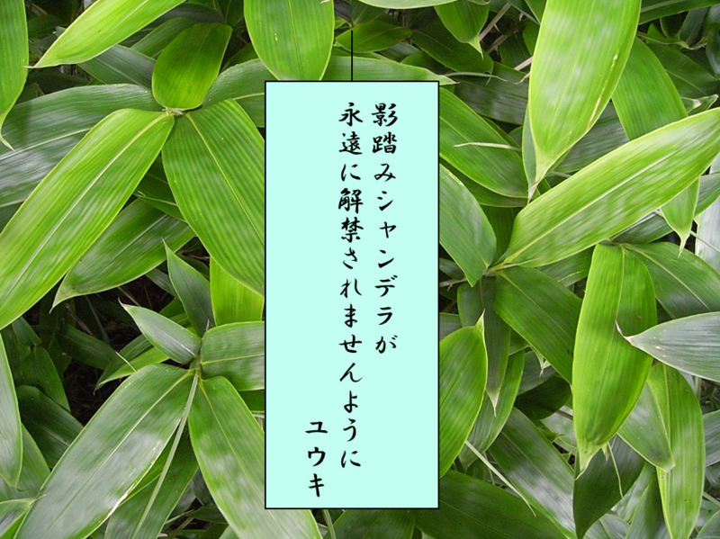 f:id:yuki_rotom:20120707125536p:image f:id:yuki_rotom:20120707125536p:image