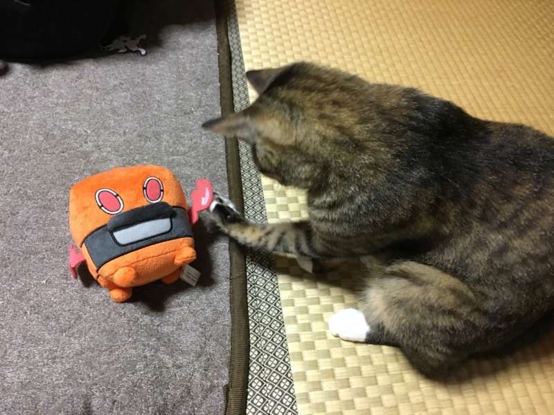f:id:yuki_rotom:20180609041815j:image f:id:yuki_rotom:20180609041815j:image