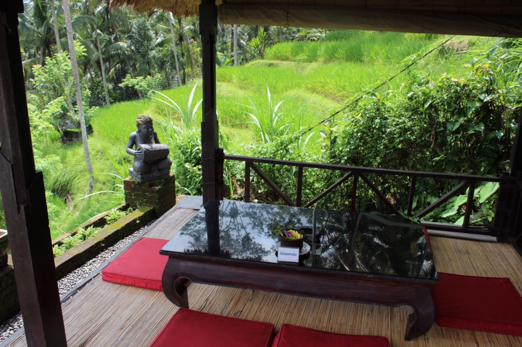 f:id:yukibali:20161128230031j:plain