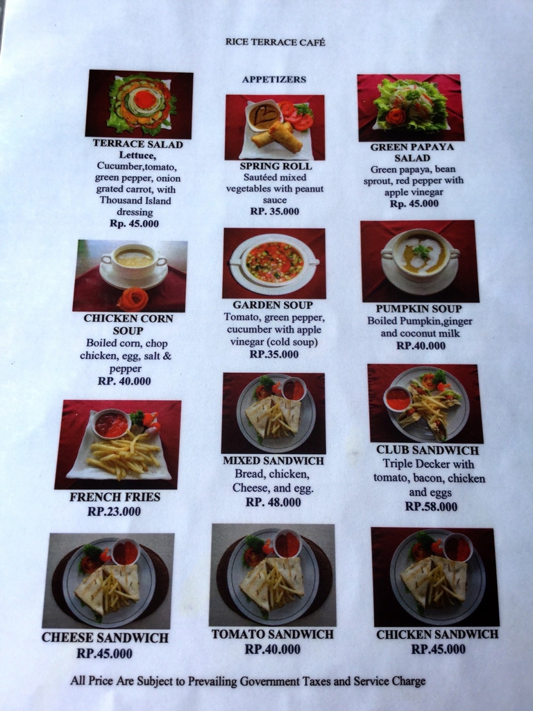 f:id:yukibali:20161128230141j:plain