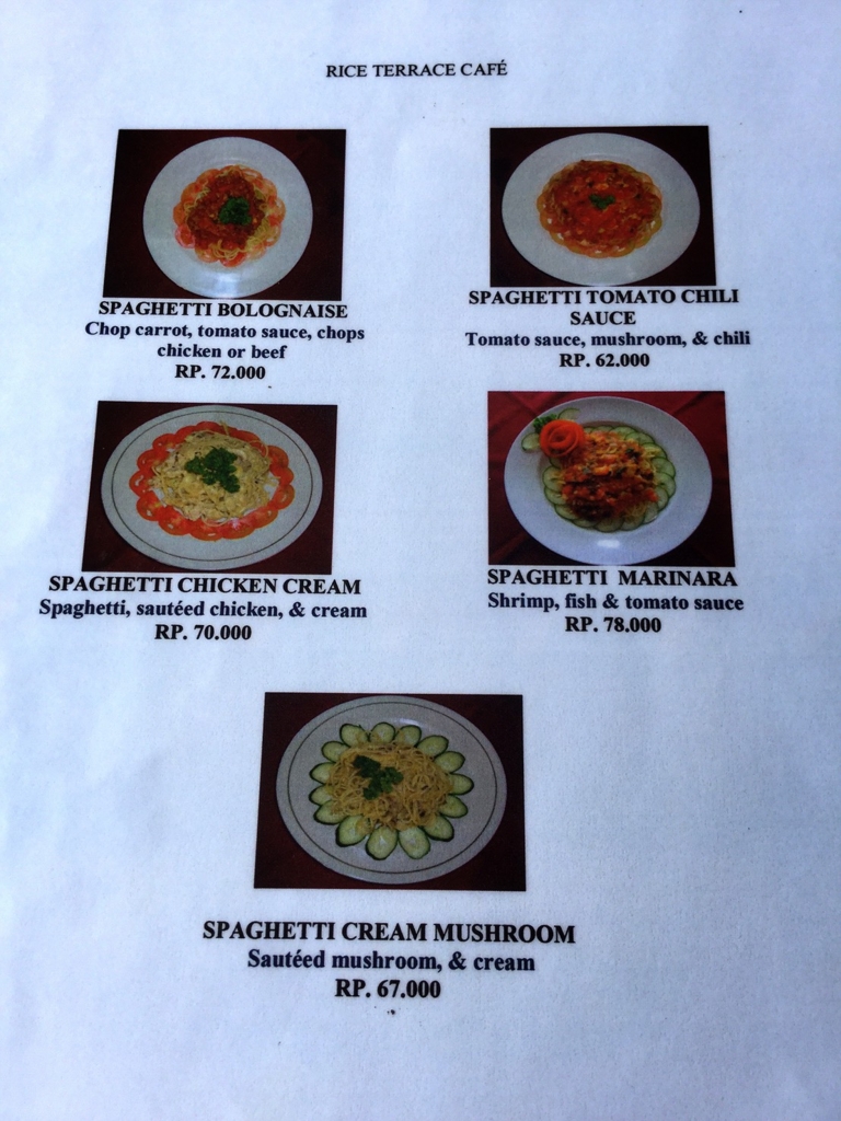 f:id:yukibali:20161128230158j:plain