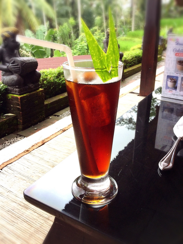 f:id:yukibali:20161128230717j:plain