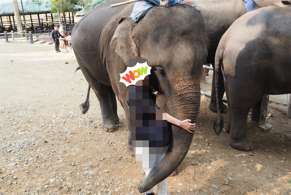 f:id:yukibangkok:20200121003817j:image