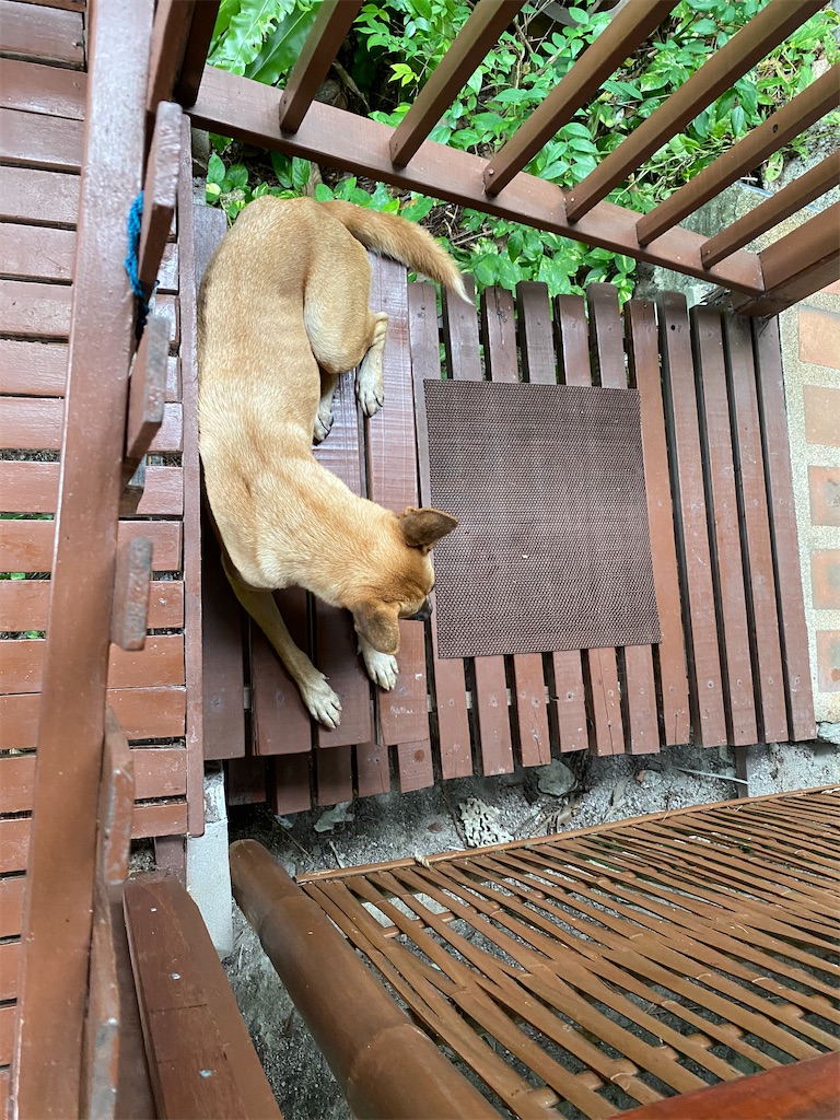 f:id:yukibangkok:20200925191218j:image