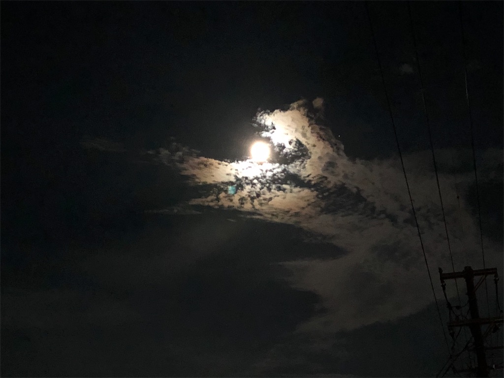 f:id:yukibayash:20180725190618j:image f:id:yukibayash:20180725190618j:image