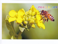 f:id:yukibou:20140325015707j:image