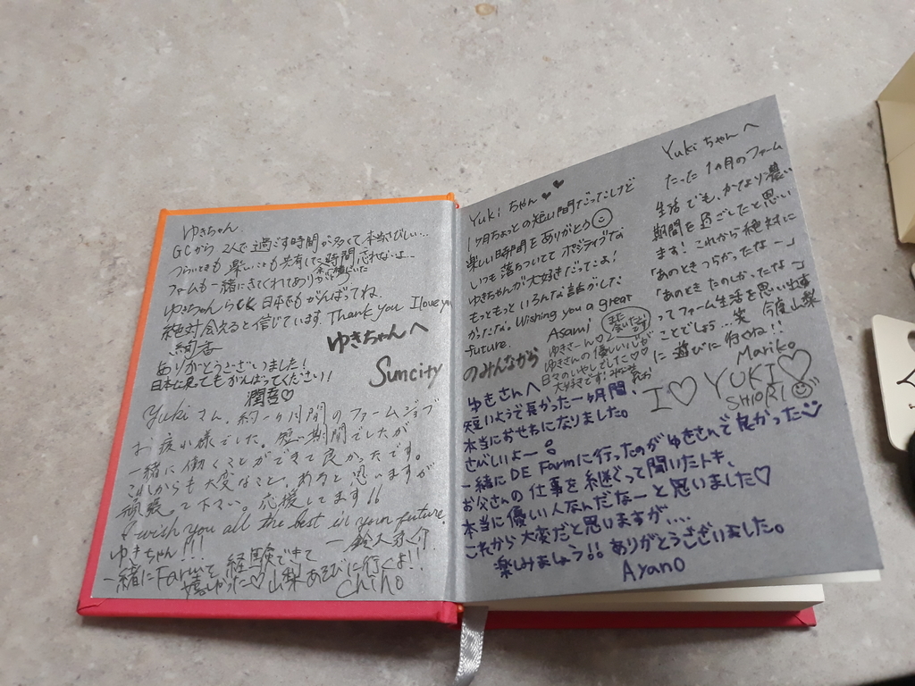 f:id:yukicha___n:20180907054902j:plain f:id:yukicha___n:20180907054902j:plain