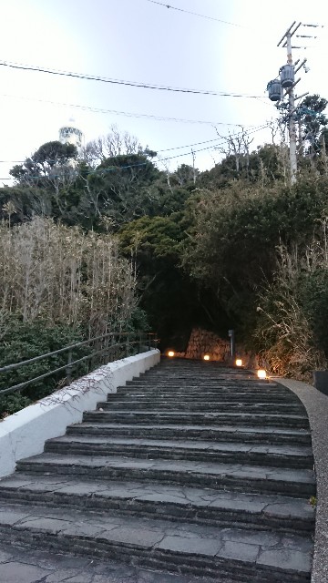 f:id:yukidarumasergeant:20220304223914j:image f:id:yukidarumasergeant:20220304223914j:image