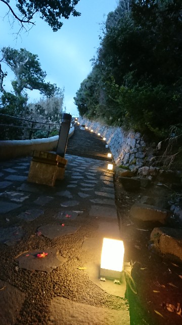 f:id:yukidarumasergeant:20220304223927j:image f:id:yukidarumasergeant:20220304223927j:image