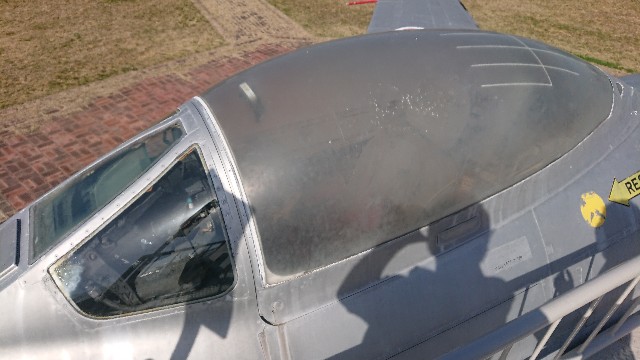 f:id:yukidarumasergeant:20220316180329j:image f:id:yukidarumasergeant:20220316180329j:image