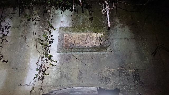 f:id:yukidarumasergeant:20220328031719j:image