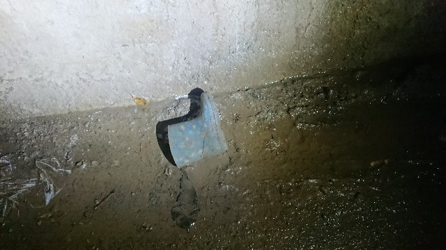 f:id:yukidarumasergeant:20220328031730j:image