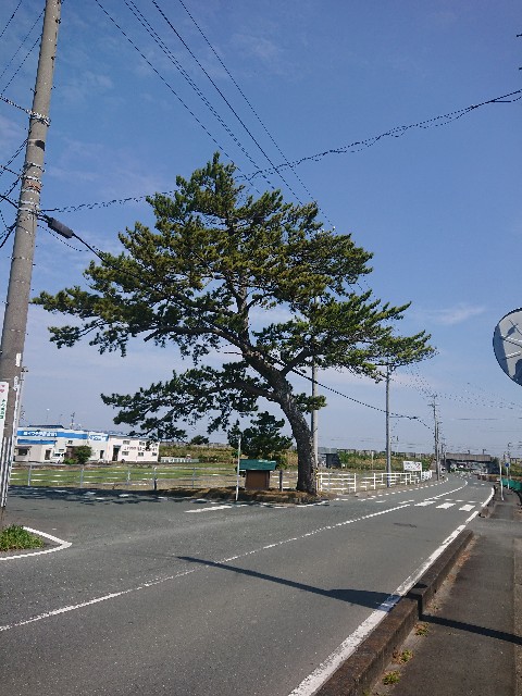 f:id:yukidarumasergeant:20220423112813j:image