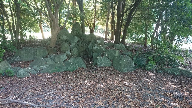 f:id:yukidarumasergeant:20220916134258j:image f:id:yukidarumasergeant:20220916134258j:image