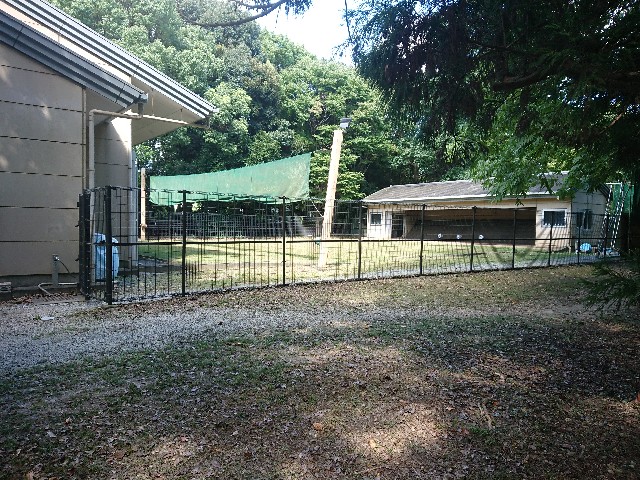 f:id:yukidarumasergeant:20220916134914j:image f:id:yukidarumasergeant:20220916134914j:image