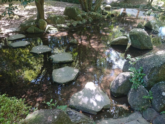 f:id:yukidarumasergeant:20220916135127j:image f:id:yukidarumasergeant:20220916135127j:image