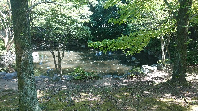 f:id:yukidarumasergeant:20220916135155j:image f:id:yukidarumasergeant:20220916135155j:image