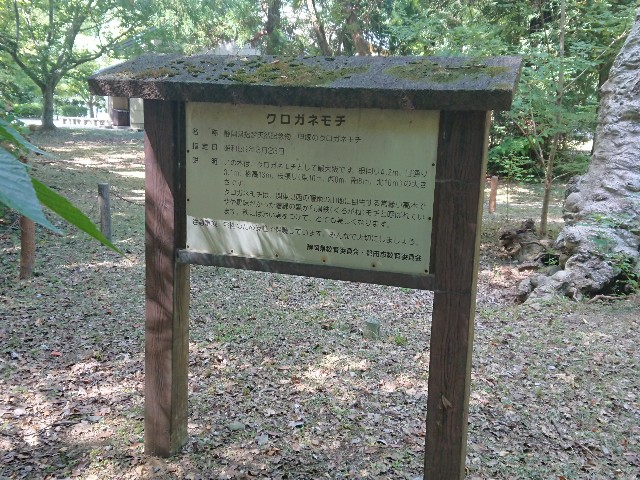 f:id:yukidarumasergeant:20220916135827j:image f:id:yukidarumasergeant:20220916135827j:image