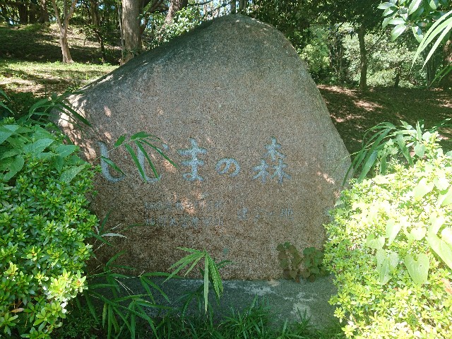 f:id:yukidarumasergeant:20220916142009j:image f:id:yukidarumasergeant:20220916142009j:image