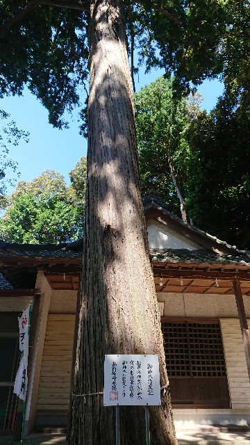 f:id:yukidarumasergeant:20220930134702j:image f:id:yukidarumasergeant:20220930134702j:image