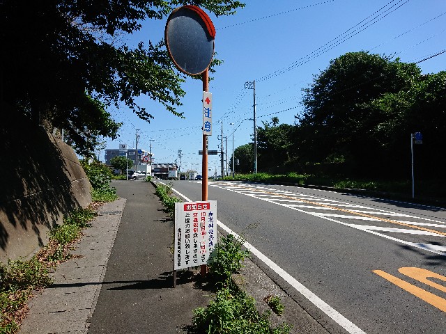 f:id:yukidarumasergeant:20220930134810j:image f:id:yukidarumasergeant:20220930134810j:image