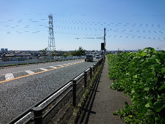 f:id:yukidarumasergeant:20220930140642j:image f:id:yukidarumasergeant:20220930140642j:image