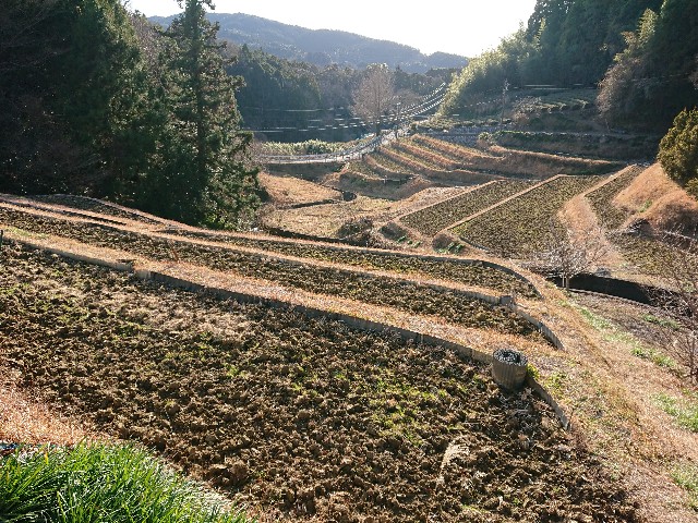 f:id:yukidarumasergeant:20230119214934j:image f:id:yukidarumasergeant:20230119214934j:image