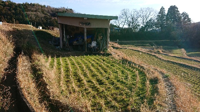 f:id:yukidarumasergeant:20230119214954j:image f:id:yukidarumasergeant:20230119214954j:image