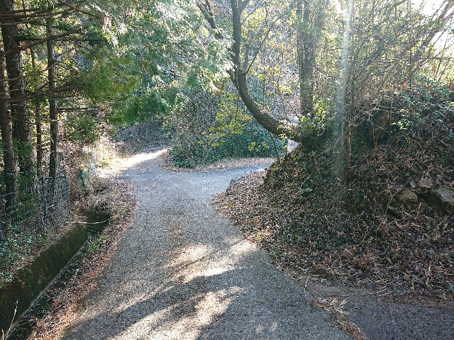 f:id:yukidarumasergeant:20230119215155j:image f:id:yukidarumasergeant:20230119215155j:image