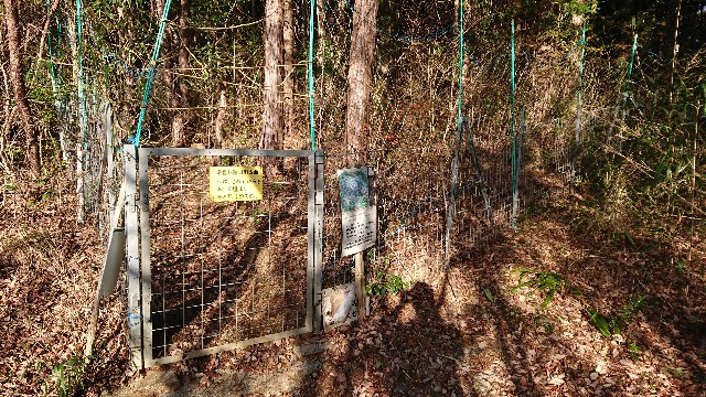 f:id:yukidarumasergeant:20230119215319j:image f:id:yukidarumasergeant:20230119215319j:image