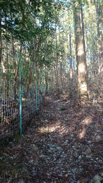 f:id:yukidarumasergeant:20230119215454j:image f:id:yukidarumasergeant:20230119215454j:image