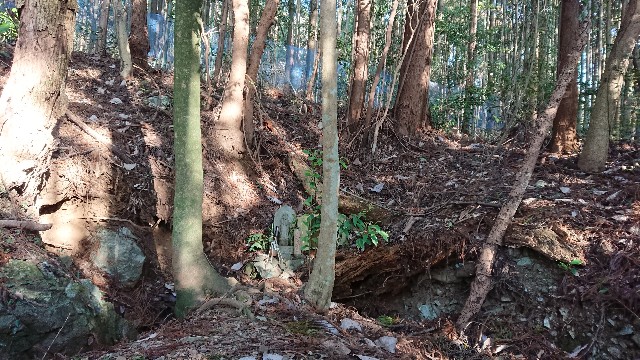 f:id:yukidarumasergeant:20230119215833j:image f:id:yukidarumasergeant:20230119215833j:image