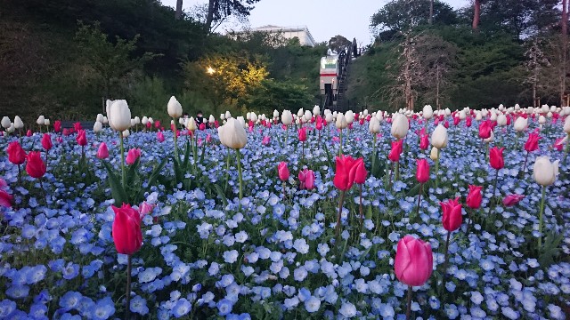 f:id:yukidarumasergeant:20230331235912j:image