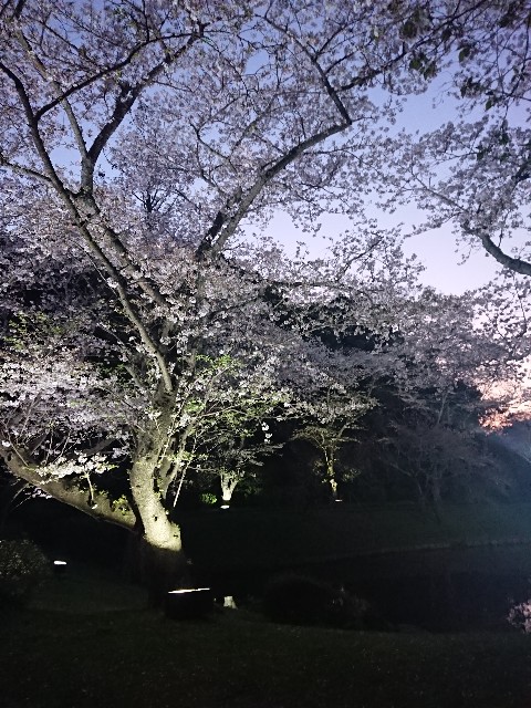 f:id:yukidarumasergeant:20230401000025j:image