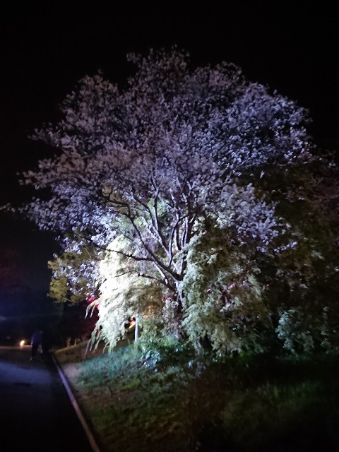 f:id:yukidarumasergeant:20230401000224j:image