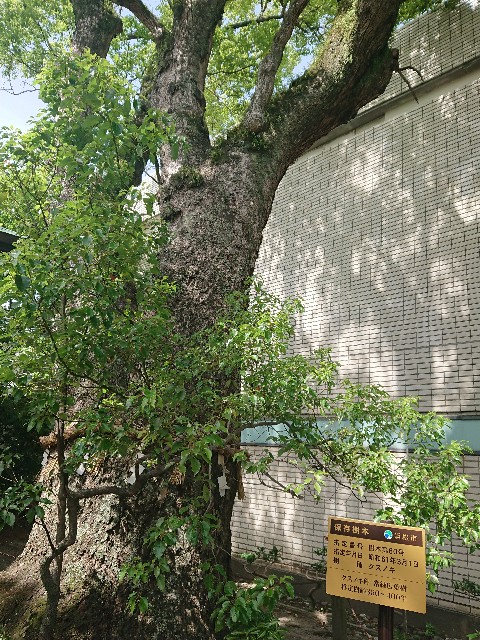 f:id:yukidarumasergeant:20230529015539j:image
