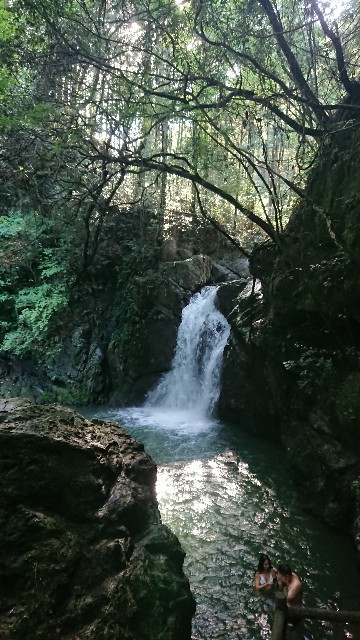 f:id:yukidarumasergeant:20230819092150j:image f:id:yukidarumasergeant:20230819092150j:image