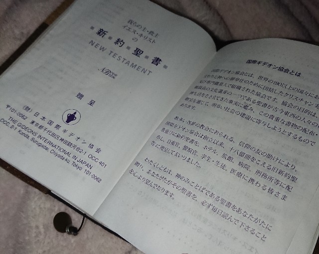 f:id:yukidarumasergeant:20230914111121j:image f:id:yukidarumasergeant:20230914111121j:image