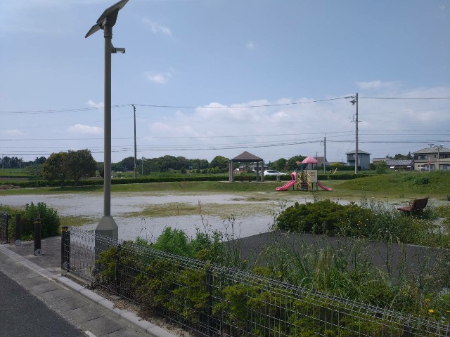 f:id:yukidarumasergeant:20250513150901j:image f:id:yukidarumasergeant:20250513150901j:image