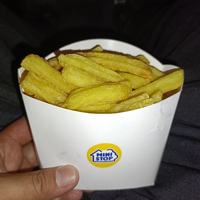 f:id:yukidarumasergeant:20250923201226j:image