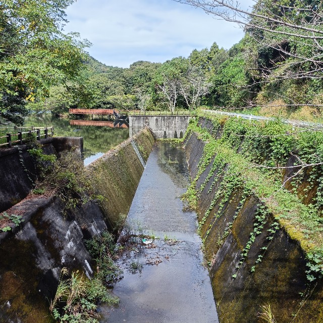 f:id:yukidarumasergeant:20251013141115j:image