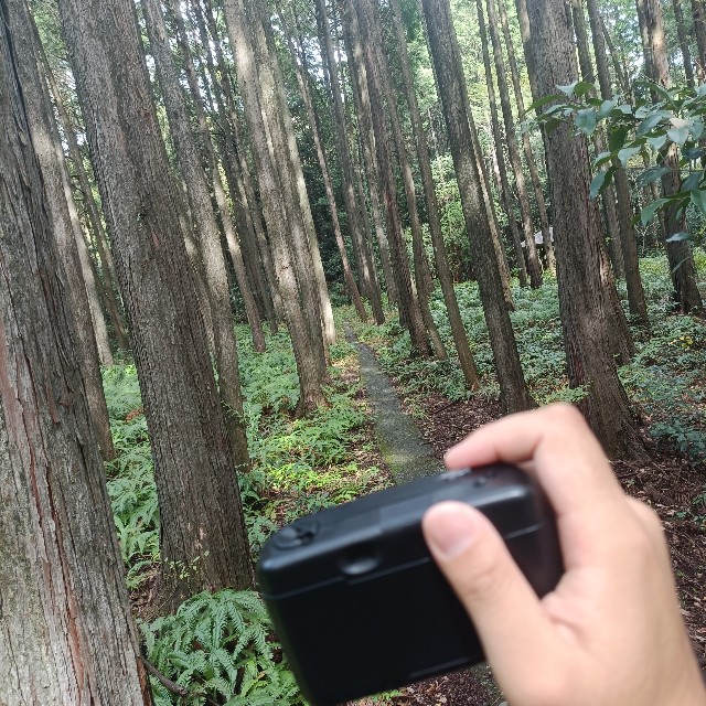 f:id:yukidarumasergeant:20251013141632j:image