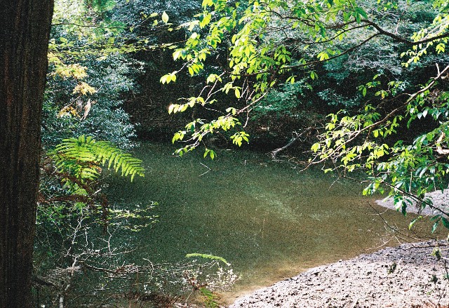 f:id:yukidarumasergeant:20251107165021j:image