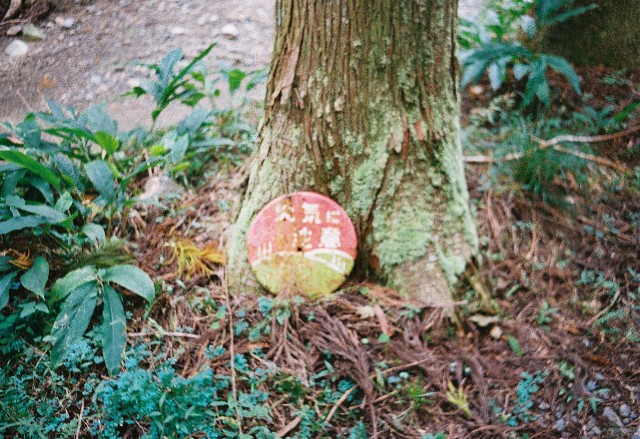 f:id:yukidarumasergeant:20251107165154j:image