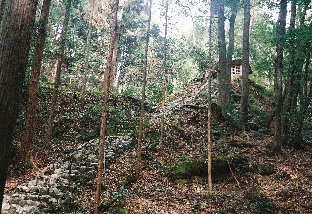 f:id:yukidarumasergeant:20251107165207j:image