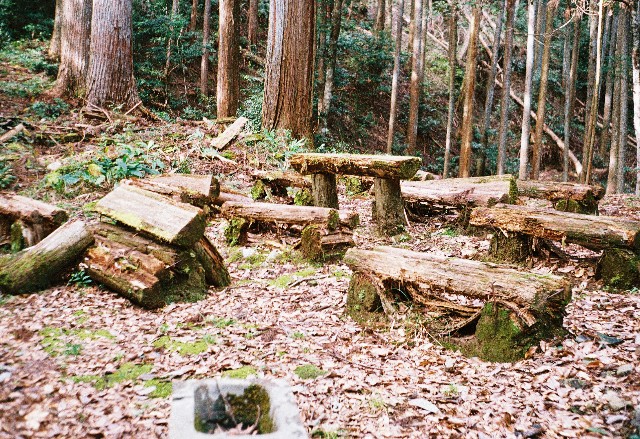 f:id:yukidarumasergeant:20251107165214j:image